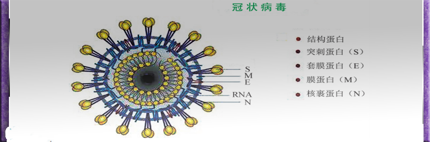 新型冠狀病毒肺炎預防手冊