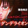 蒲公英-DANDELION 1