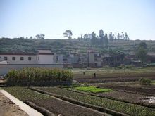 馬家營村(雲南省昆明市宜良縣匡遠鎮馬家營村)