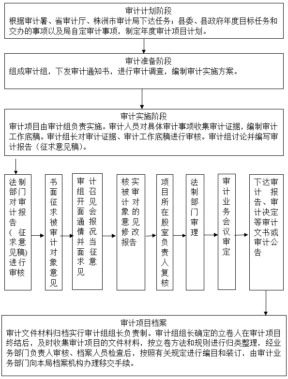 審計業務流程圖