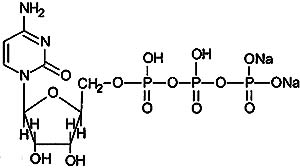 注射用三磷酸胞苷二鈉