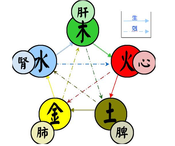 五行自穩模型