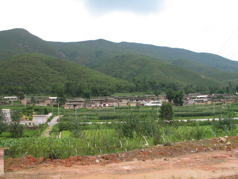 三賢村(易門縣六街鎮茶樹村民委員會下轄村)