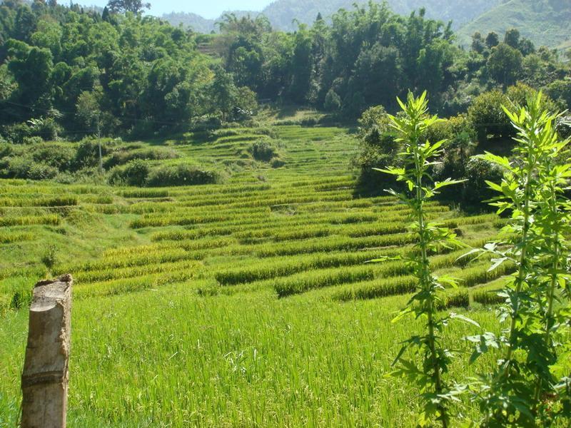 灣中上寨村