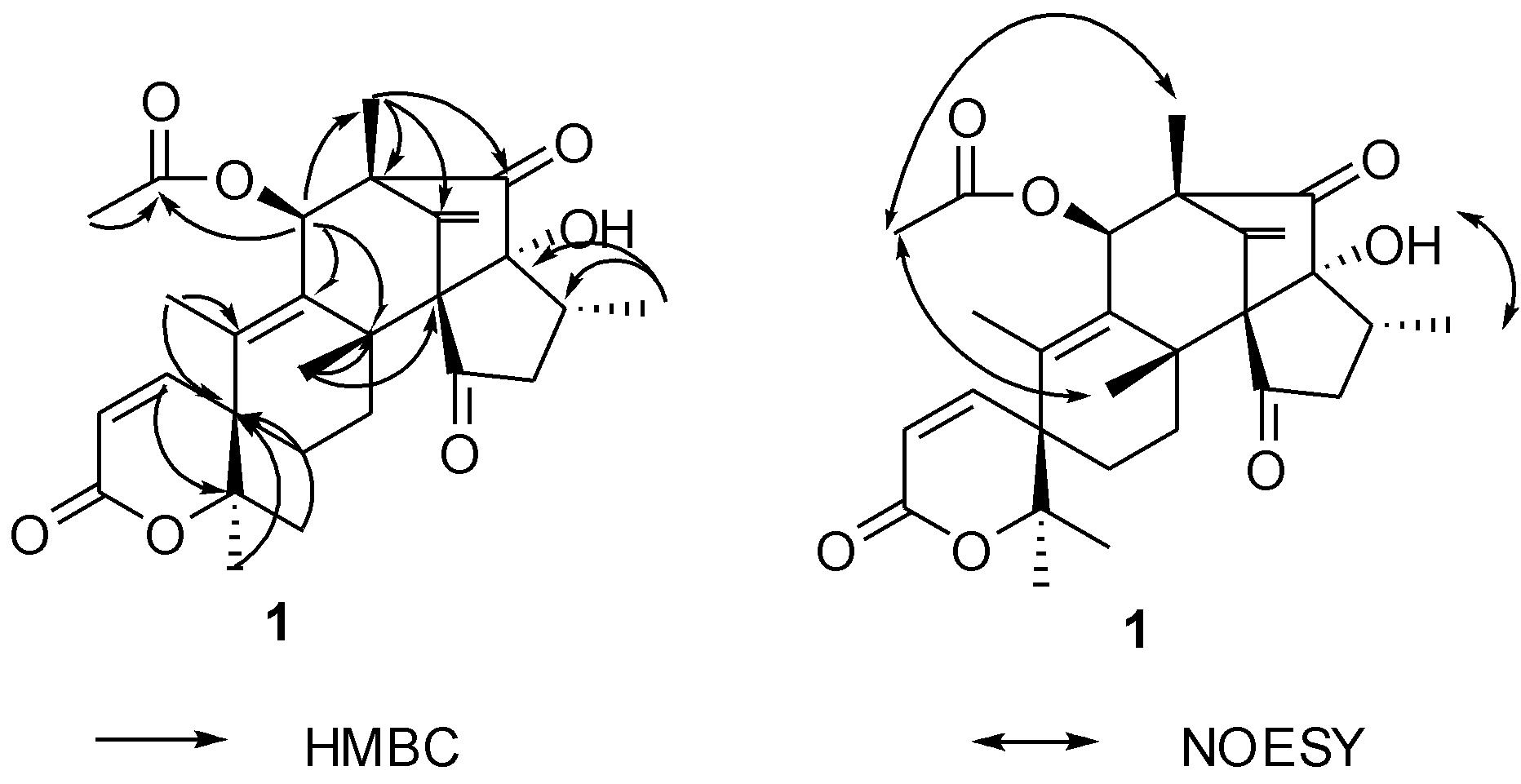 HMBC