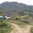 草山村(安徽省蕪湖市繁昌縣平鋪鎮草山村)