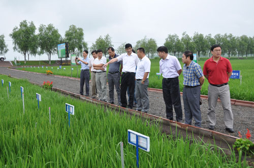 市糧食局考察糧源基地