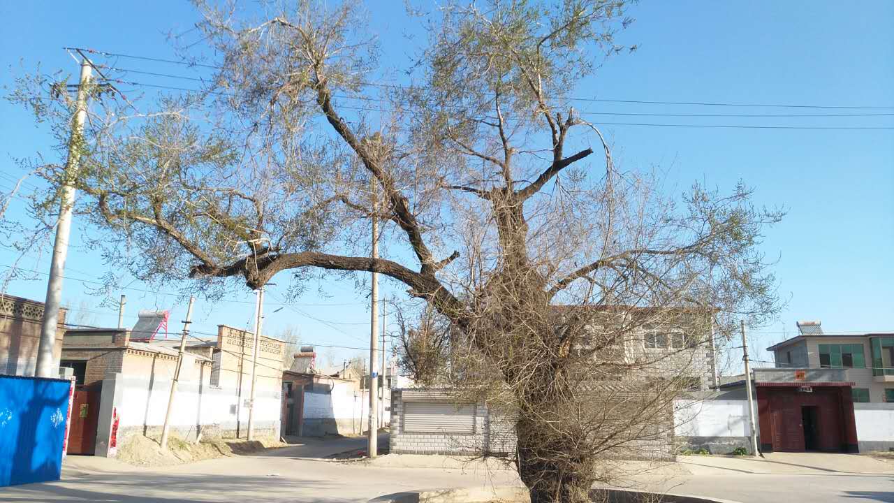 邊各莊村(河北省保定市涿州市東城坊鎮下轄村)