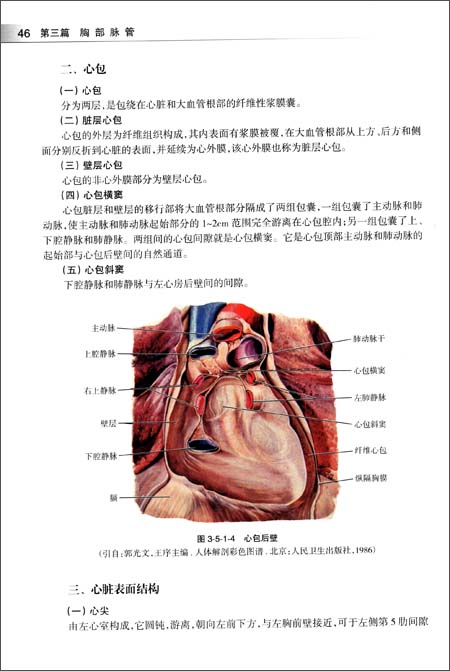 全身血管影像解剖學圖譜