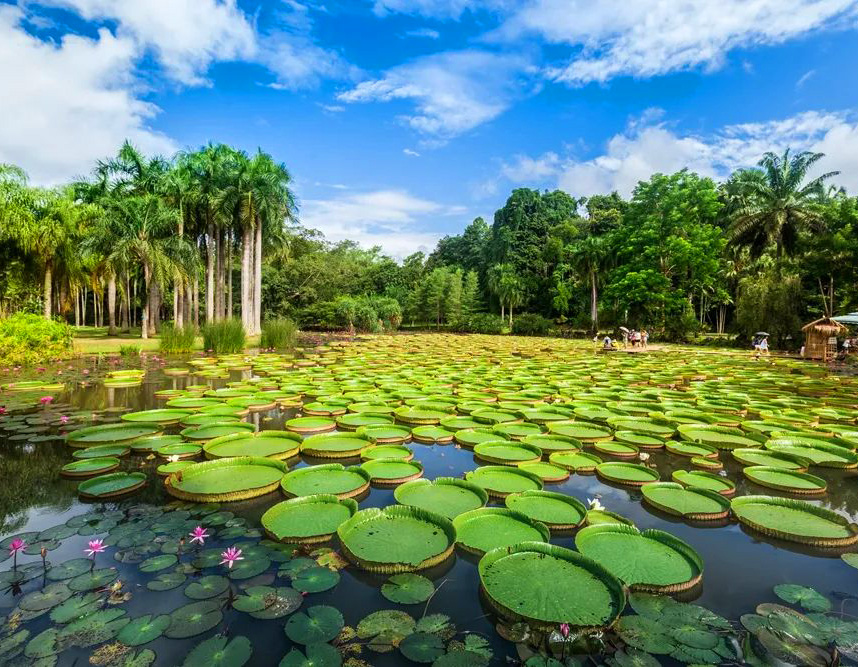 中國科學院西雙版納熱帶植物園