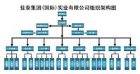 佳泰集團組織架構圖