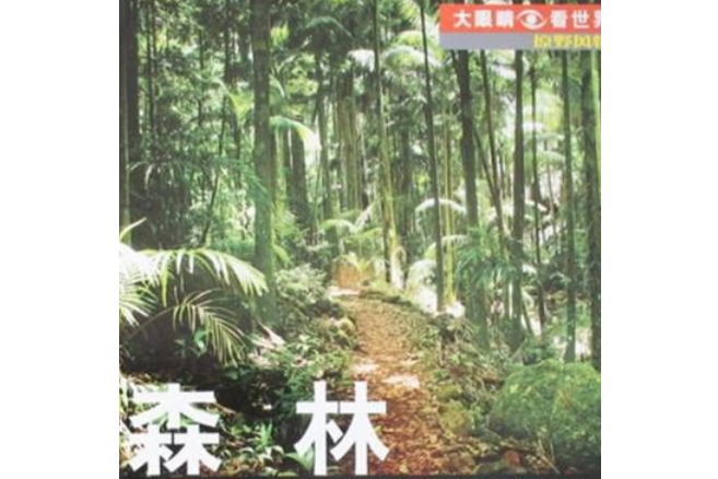 森林(2008年少年兒童出版社出版的圖書)