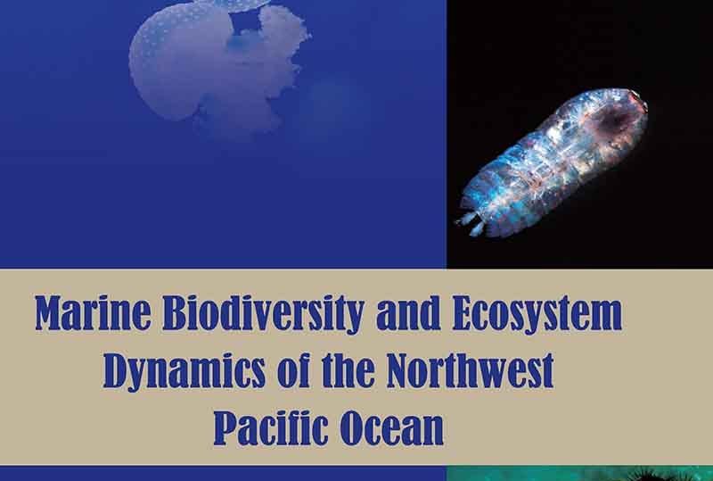 Marine biodiversity and ecosystem dynamics of the northwest pacific ocean