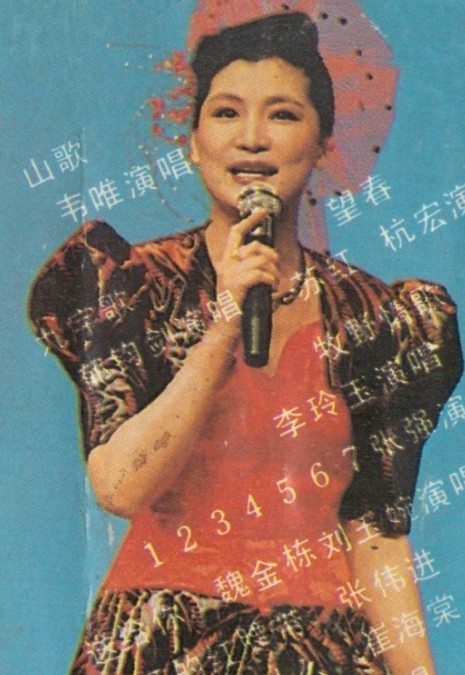 范琳琳1990