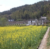 鳳山龍天塔