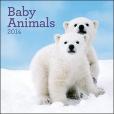 Baby Animals 2014 Calendar