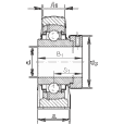 FAG RSHE60-N軸承