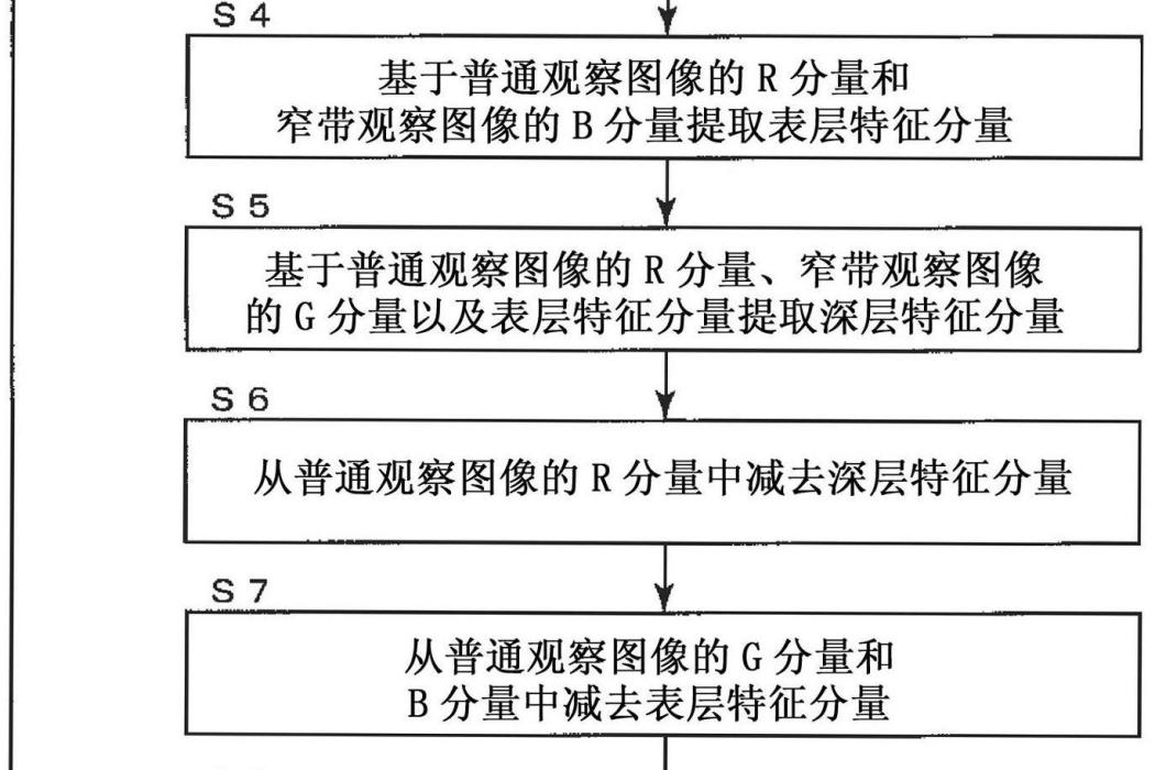 圖像處理裝置以及電子內窺鏡系統