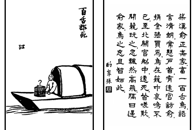 百舌詐死