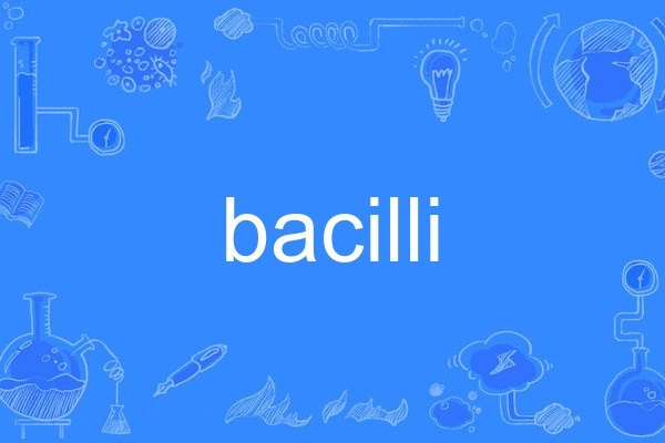 bacilli