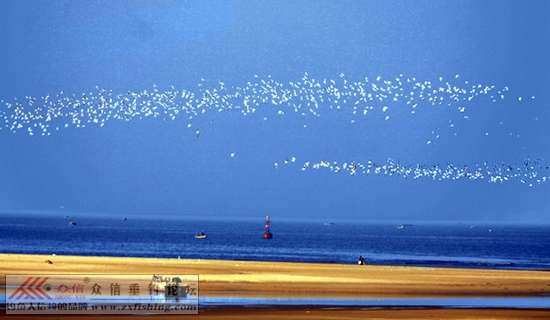 魚鳥河