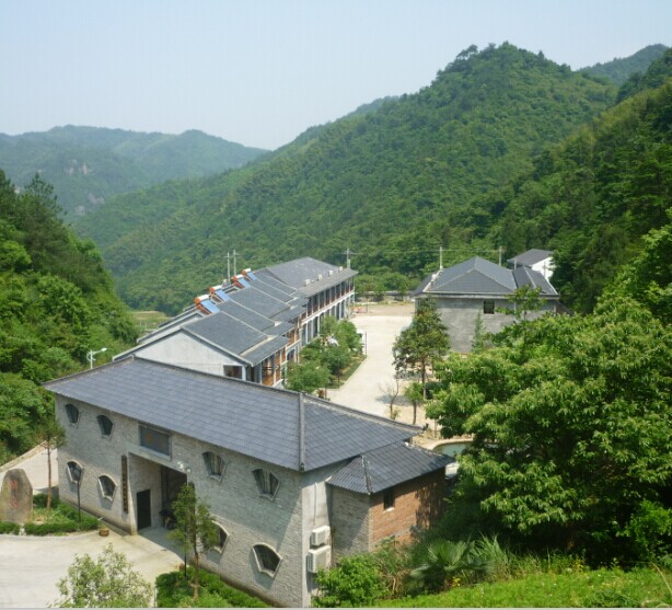 杜家嶺村(山東省臨沂市河東區湯頭街道下轄村)