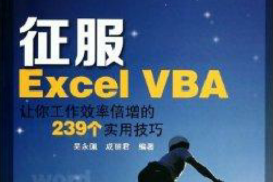 征服Excel VBA