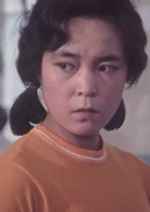 沙鷗(1981年張暖忻執導電影)