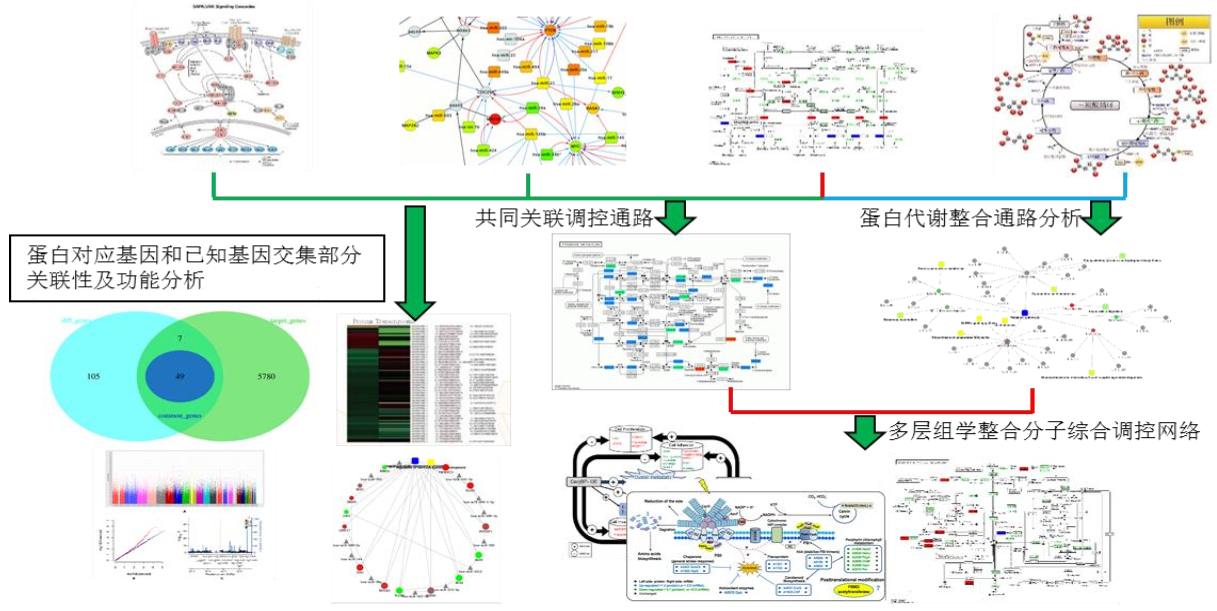 多層組學整合