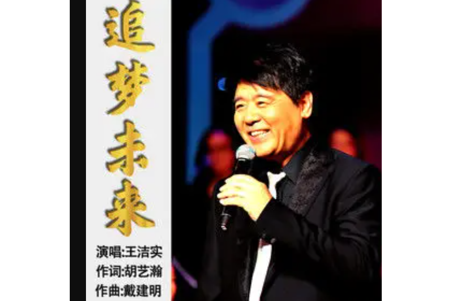 追夢未來(王潔實演唱歌曲)