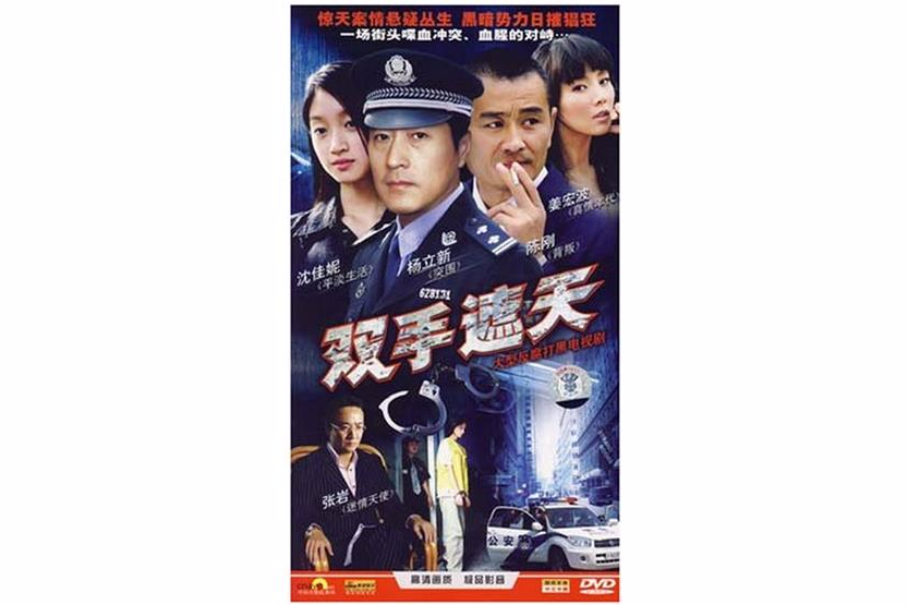 雙手遮天(4DVD)