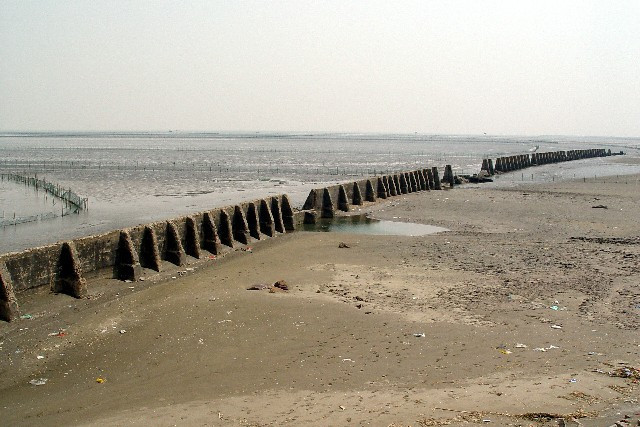 通海墾牧公司擋潮牆遺址