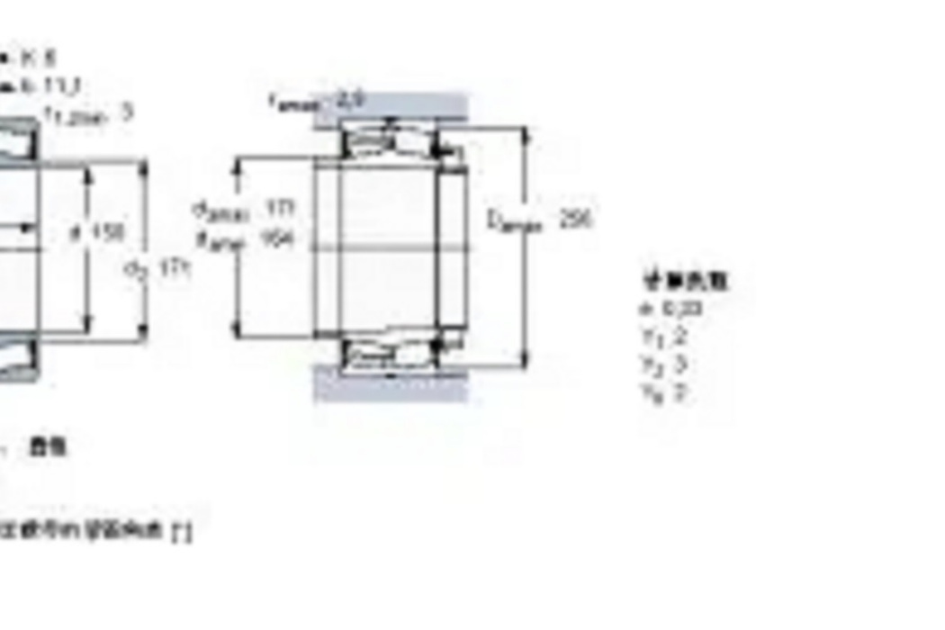 SKF 23230-2CS5K-VT143軸承