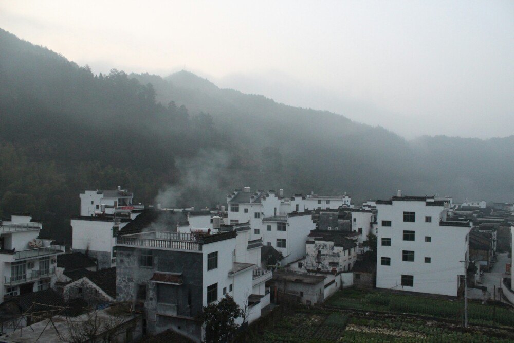 龍尾村(陝西省寶雞市陳倉區橋鎮龍尾村)