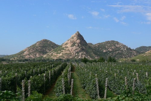 孟津鳳凰山