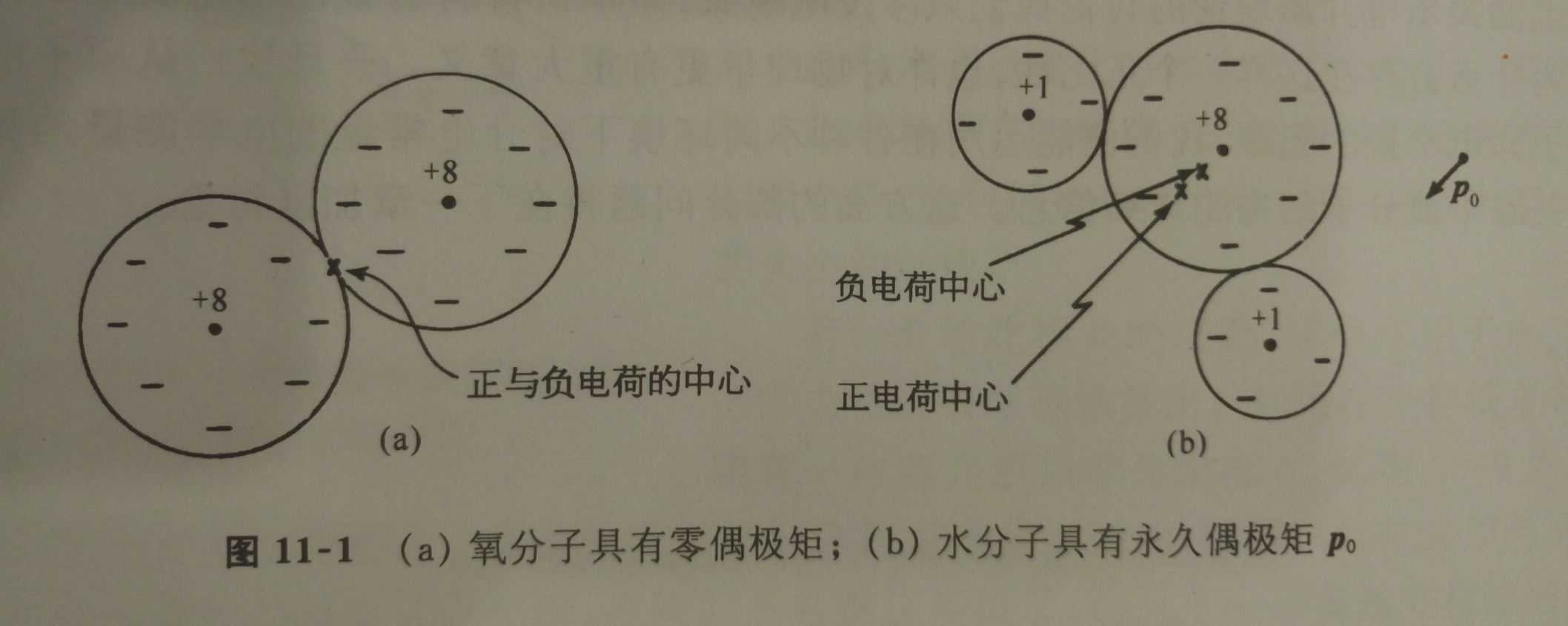 極性分子與非極性分子的電偶極矩