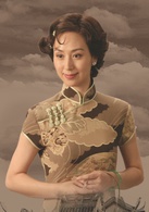 舞台姐妹(2006年梅婷主演電視劇電視連續劇)