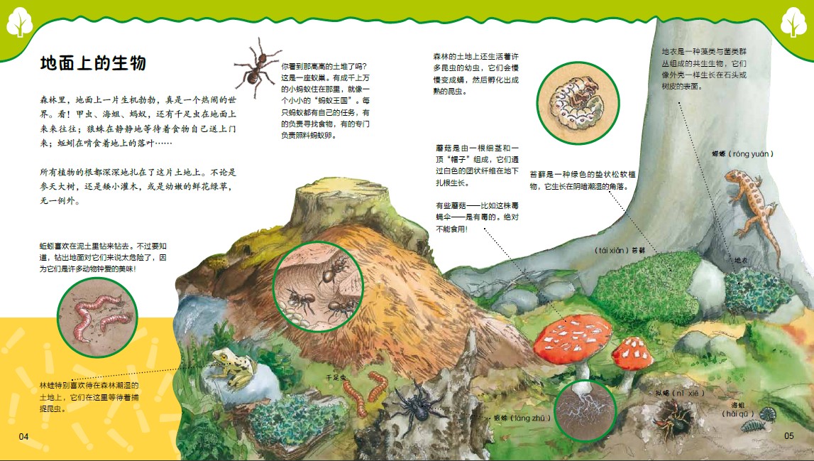 地面上的生物