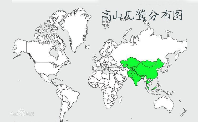 高山兀鷲分布圖