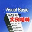 Visual Basic系統開發實例精粹