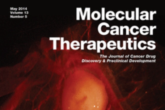 Molecular cancer therapeutics