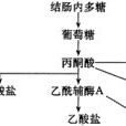 短鏈脂肪酸