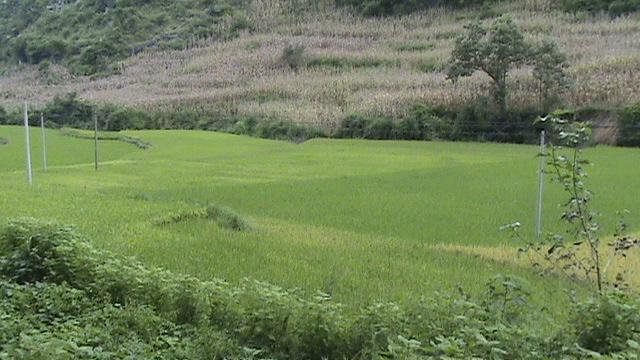 寶月關村