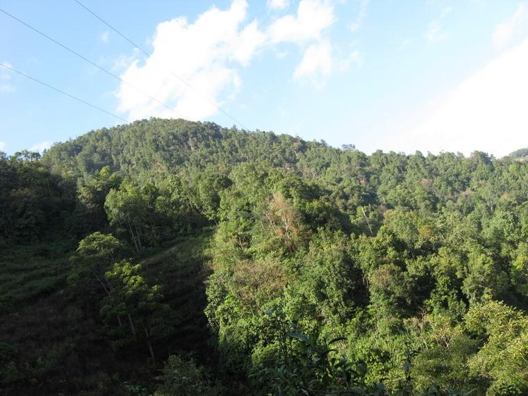 草子地自然村(雲南省臨滄市雲縣漫灣鎮草子地自然村)