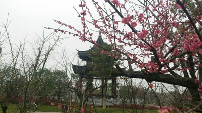 湖北黃岡遺愛湖國家濕地公園