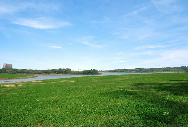 青龍湖(成都青龍湖)