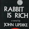 Rabbit Is Rich(1981年Alfred A. Knopf出版的圖書)