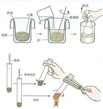 加水分解