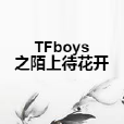 TFboys之陌上待花開