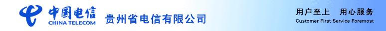 貴州省電信有限公司